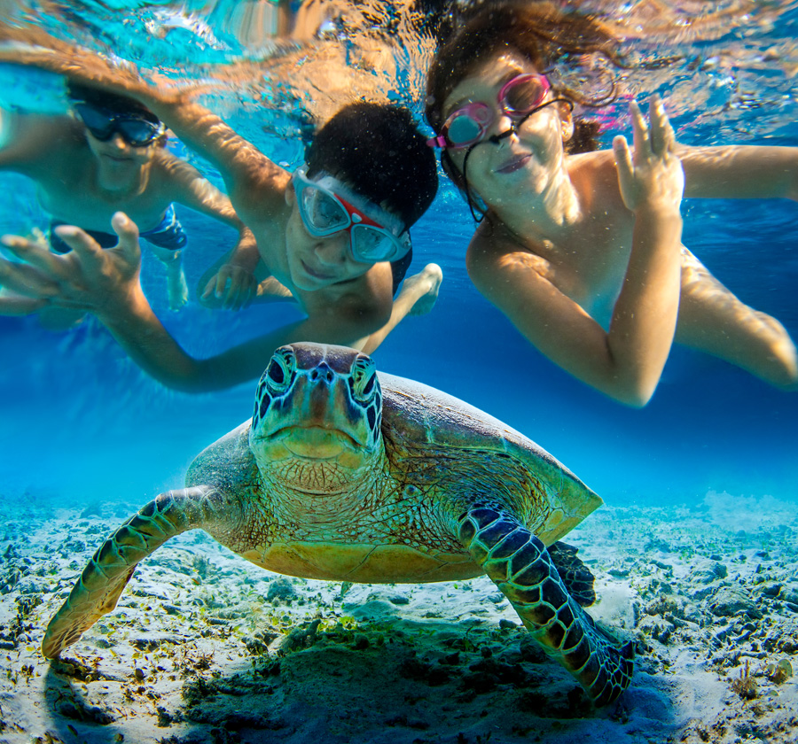 Snorkeling At Snoopy Island