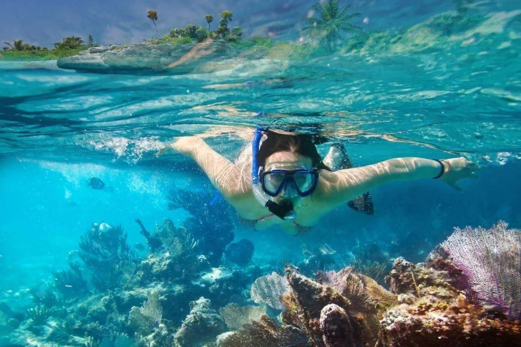 Snorkeling At Snoopy Island