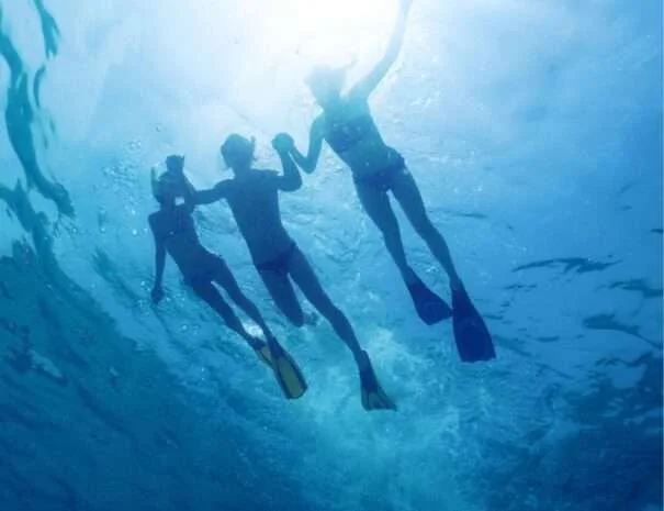 Snorkeling At Snoopy Island