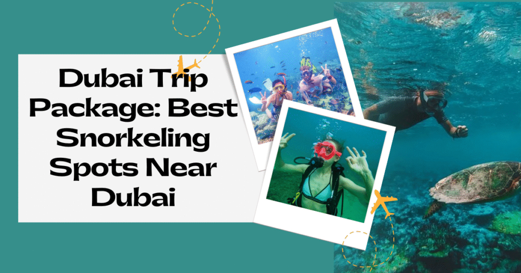 Dubai Trip Package: Best Snorkeling Spots Near Dubai
